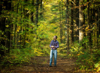 Discover Zen in a Patch of Forest