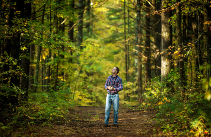 Discover Zen in a Patch of Forest